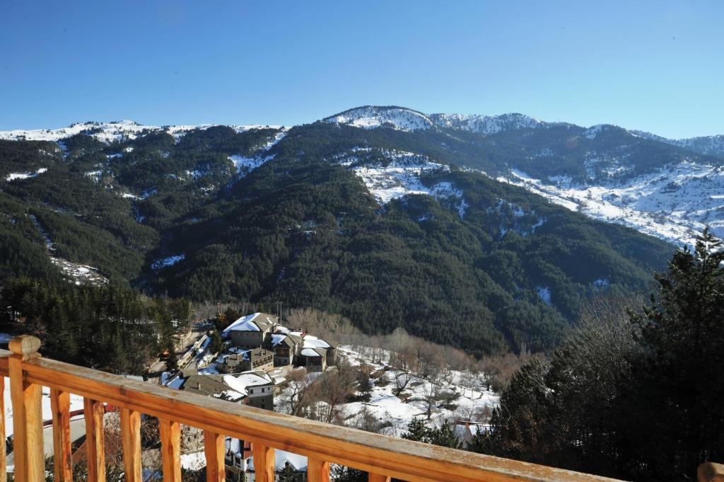 Hotel Anax Metsovo Quarto foto