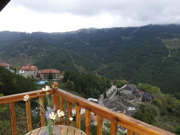 Hotel Anax Metsovo Exterior foto