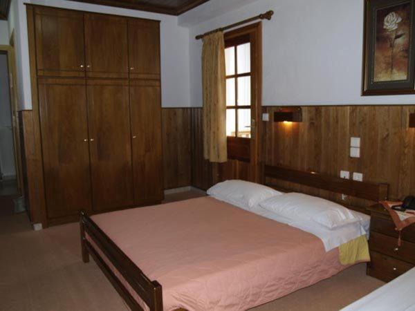 Hotel Anax Metsovo Exterior foto