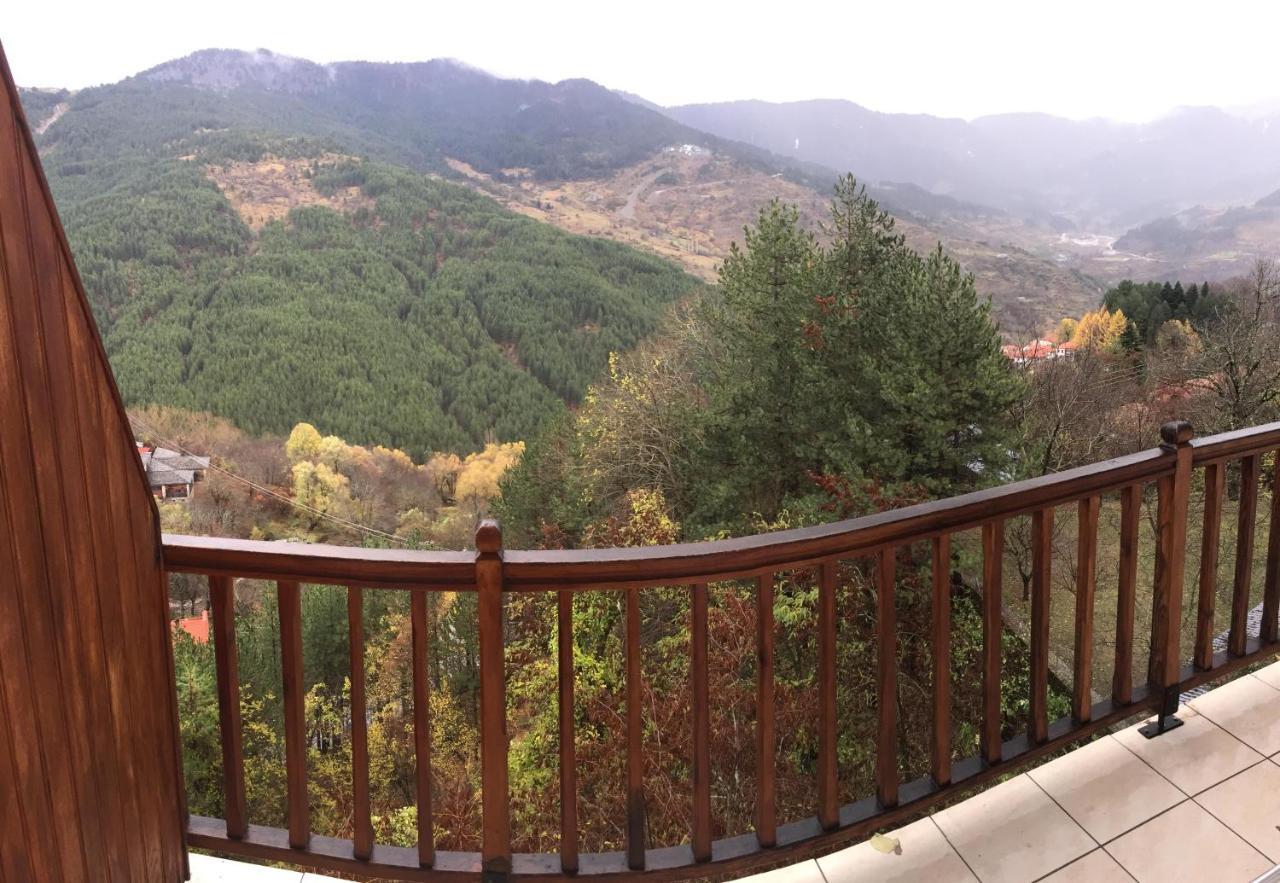 Hotel Anax Metsovo Exterior foto