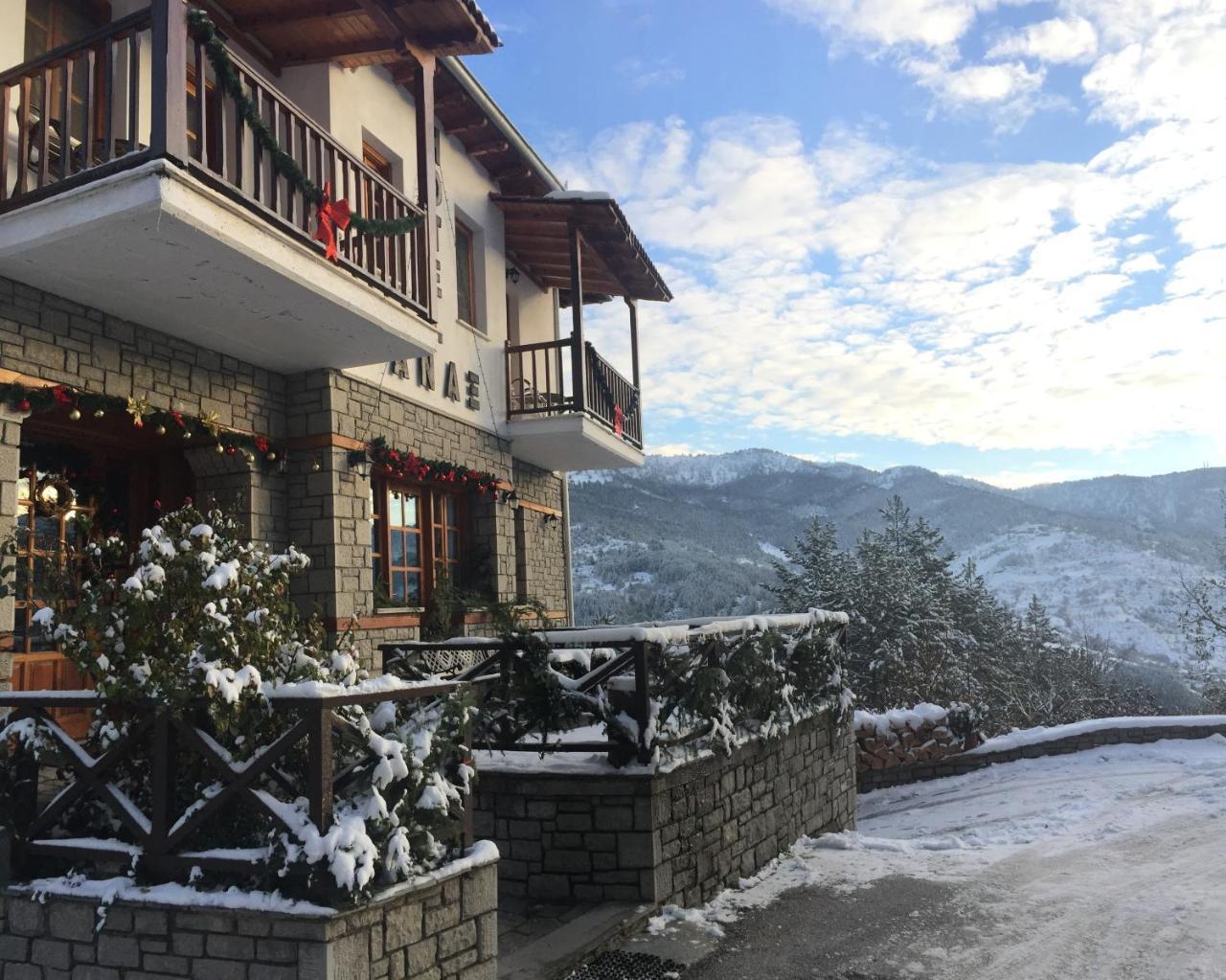 Hotel Anax Metsovo Exterior foto